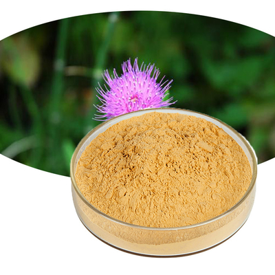Organic Food Grade Additives 80% Silymarin Milk Thistle Extract Powder