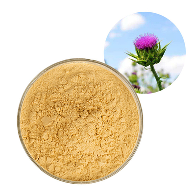 Food Grade Silybum Marianum Extract Milk Thistle Powder 80%