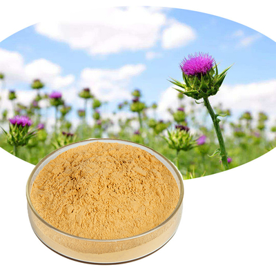 Food Grade Silybum Marianum Extract Milk Thistle Powder 80%