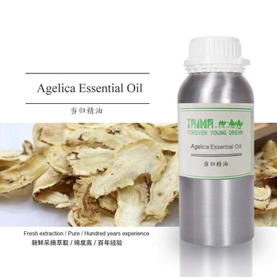 Organic Food Grade Additives Herbal Angelica Root Oil CAS 8015-54-3